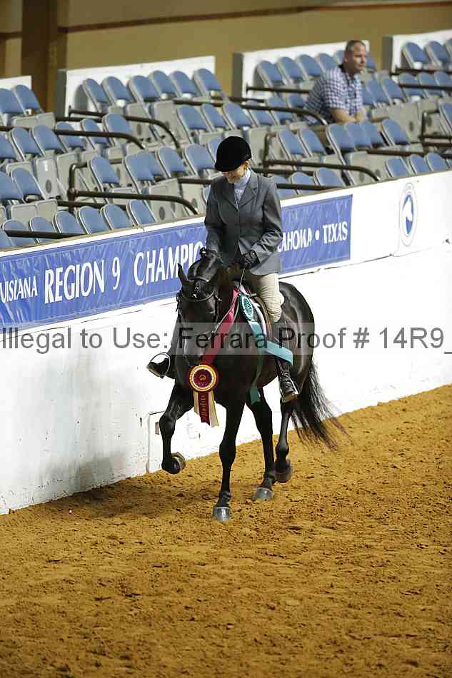 Proof Number 14r9_3603