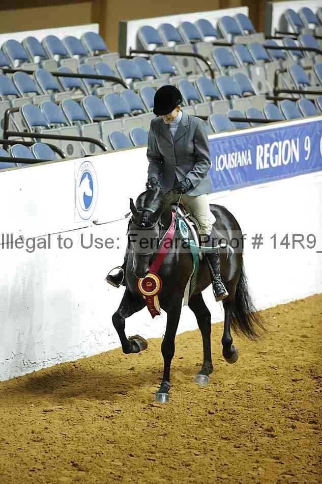 Proof Number 14r9_3604