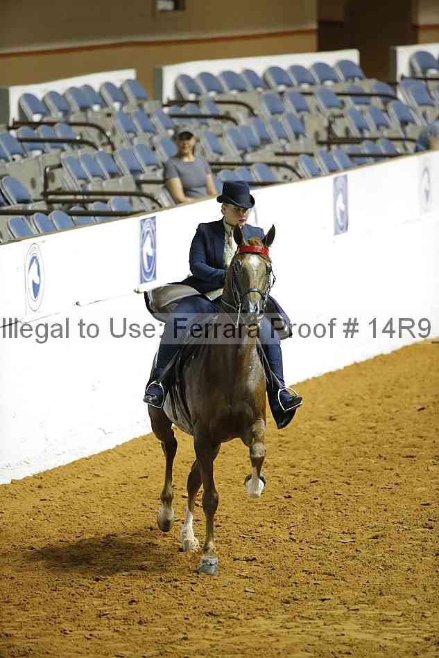 Proof Number 14r9_3614
