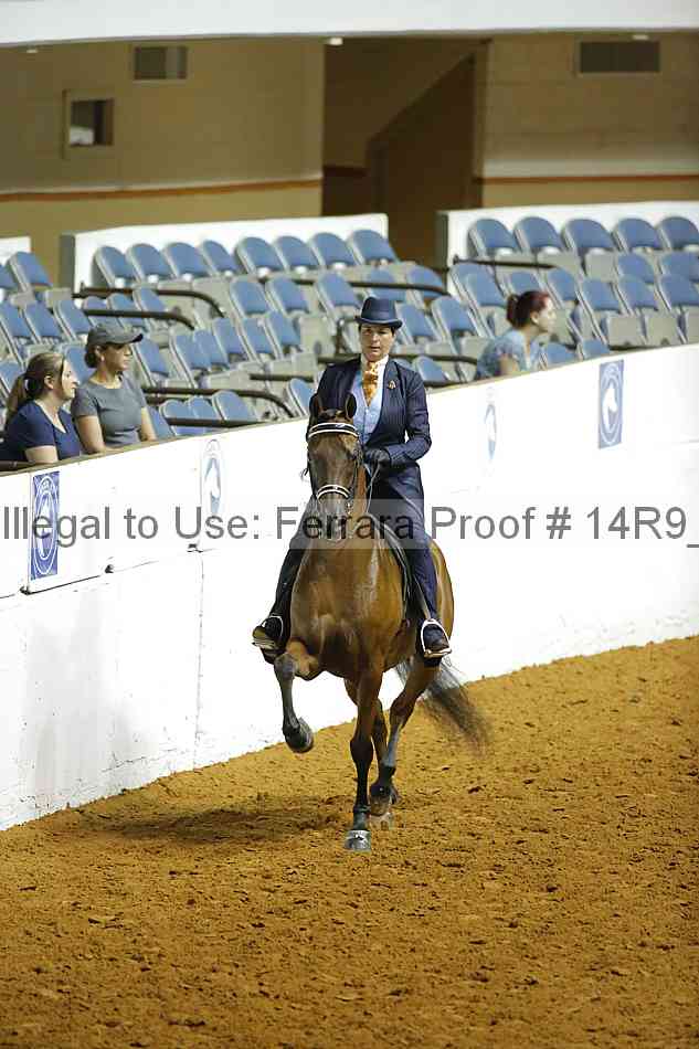 Proof Number 14r9_3629