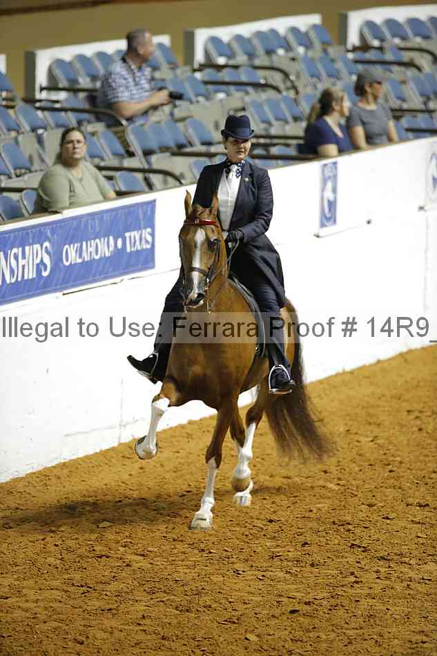 Proof Number 14r9_3633