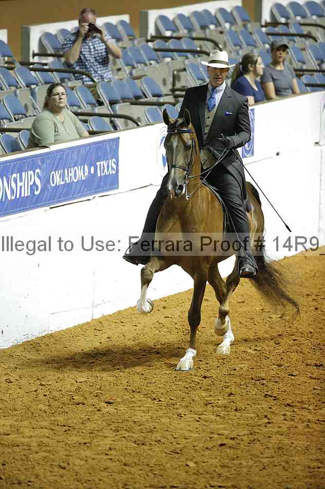 Proof Number 14r9_3635