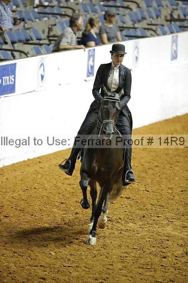 Proof Number 14r9_3639