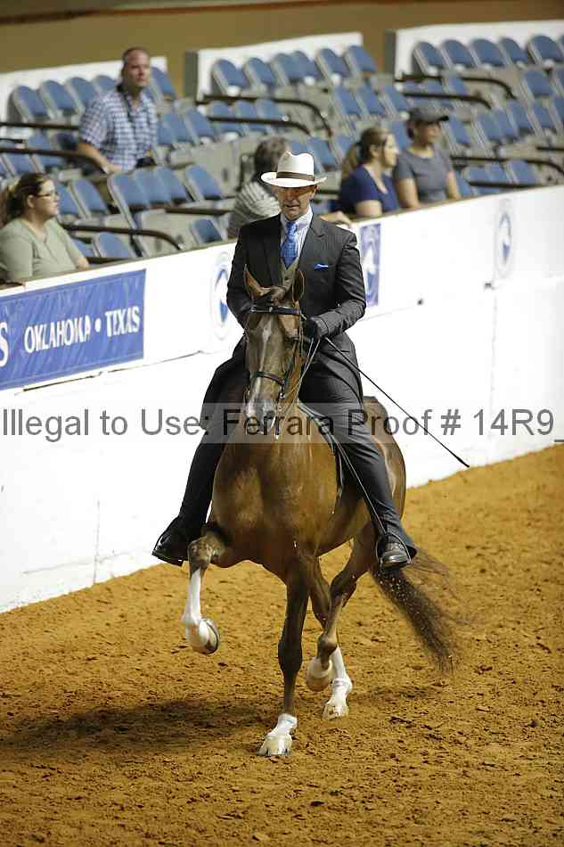 Proof Number 14r9_3641