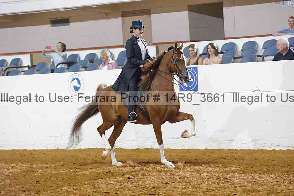 Proof Number 14r9_3661