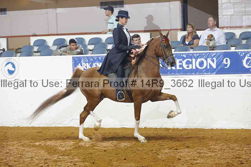 Proof Number 14r9_3662