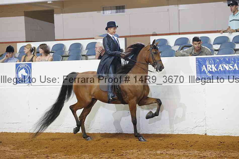 Proof Number 14r9_3670