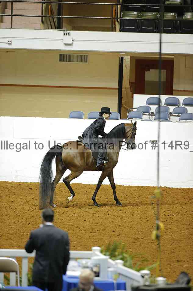 Proof Number 14r9_3682
