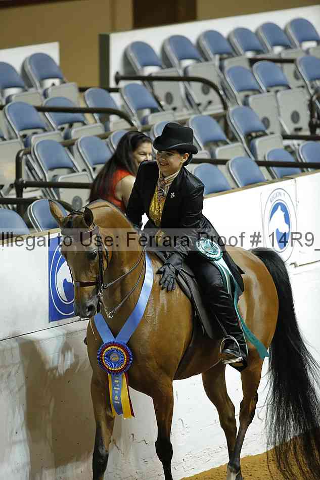 Proof Number 14r9_3693