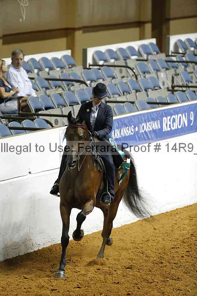 Proof Number 14r9_3700