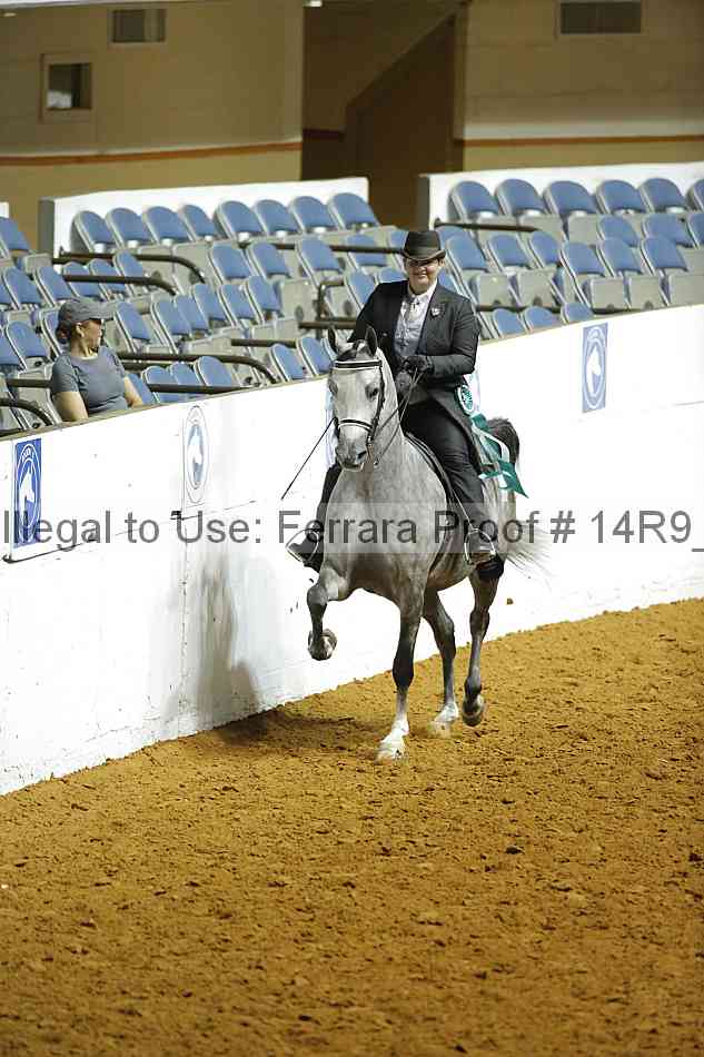 Proof Number 14r9_3702