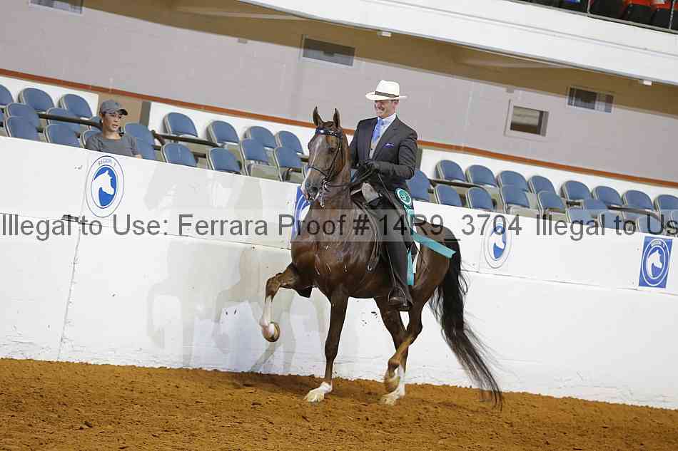 Proof Number 14r9_3704