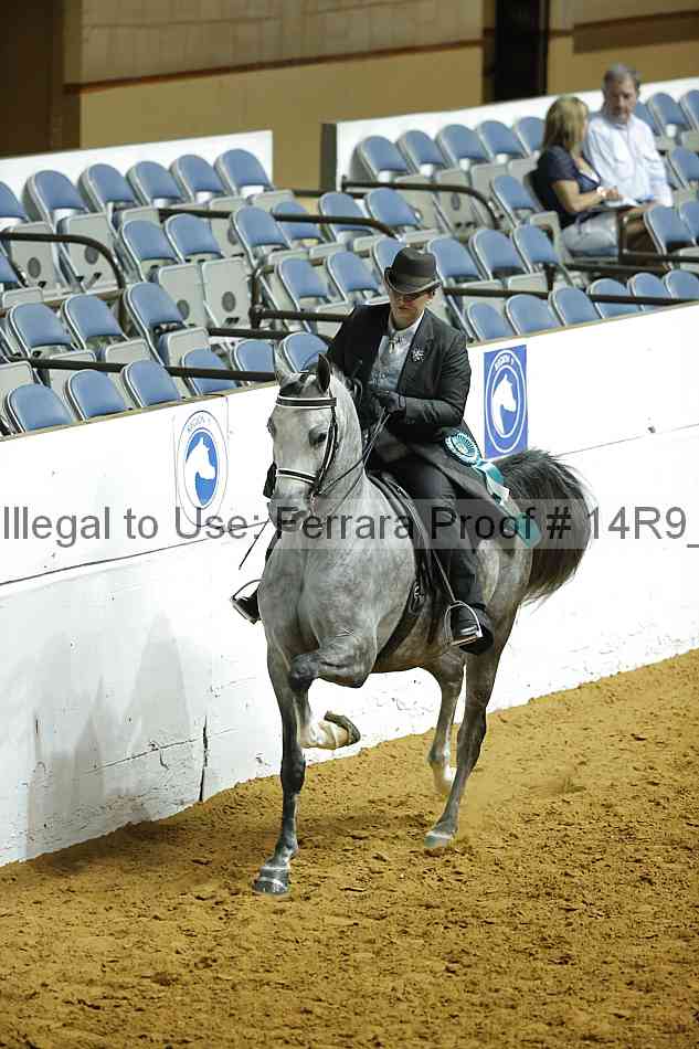 Proof Number 14r9_3706