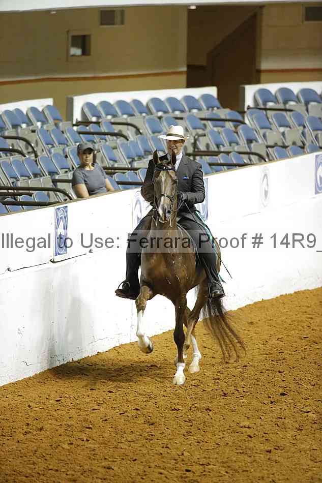 Proof Number 14r9_3707