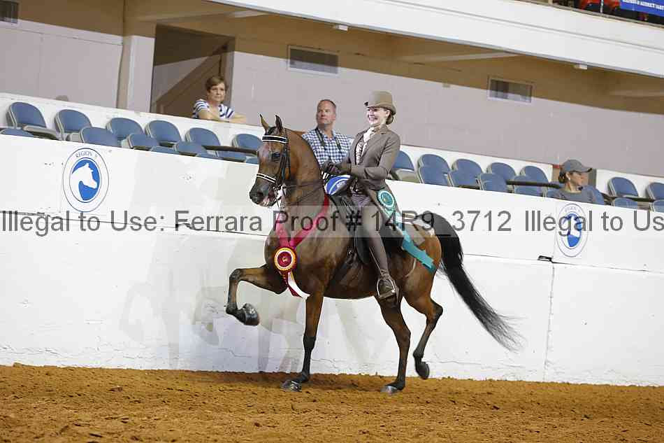 Proof Number 14r9_3712