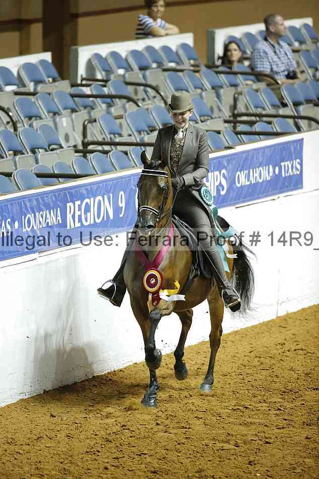Proof Number 14r9_3713