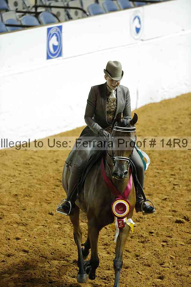 Proof Number 14r9_3715