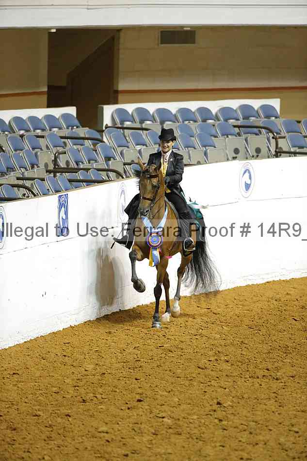 Proof Number 14r9_3719