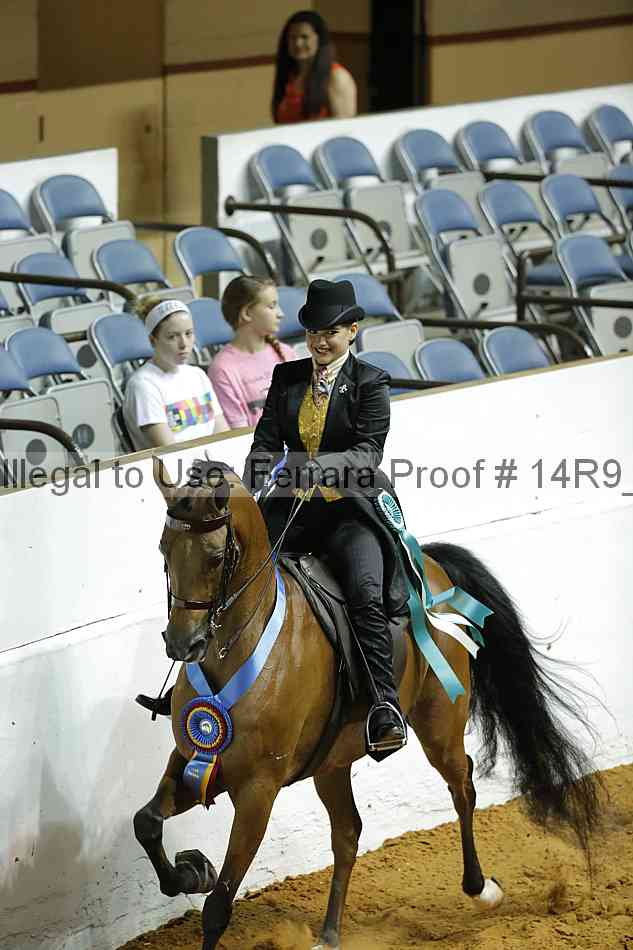Proof Number 14r9_3723