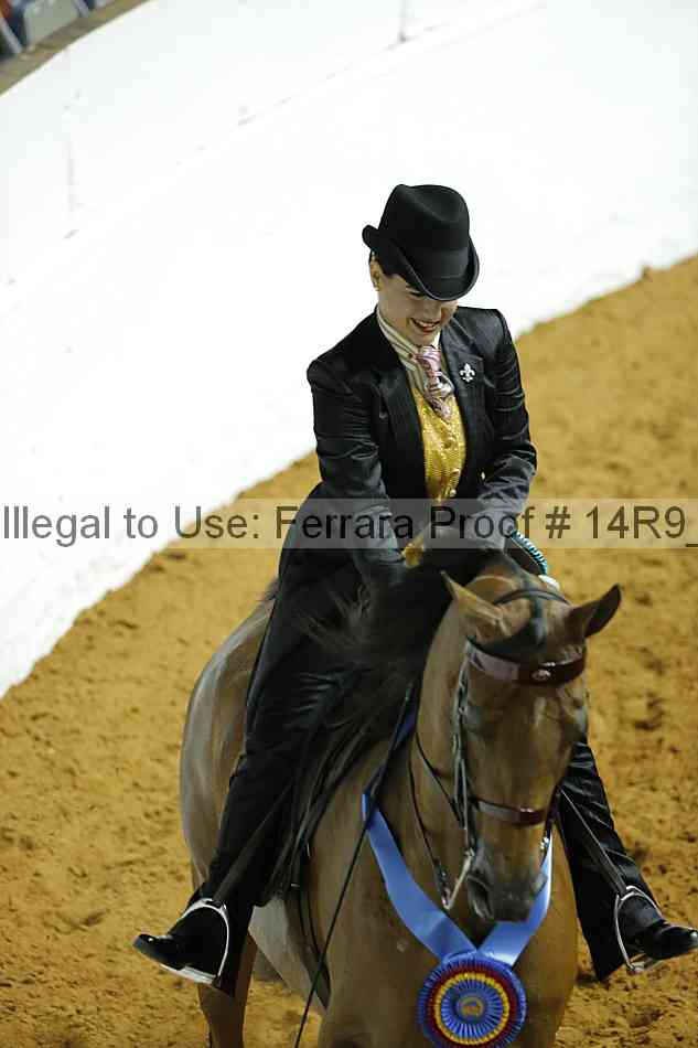 Proof Number 14r9_3725