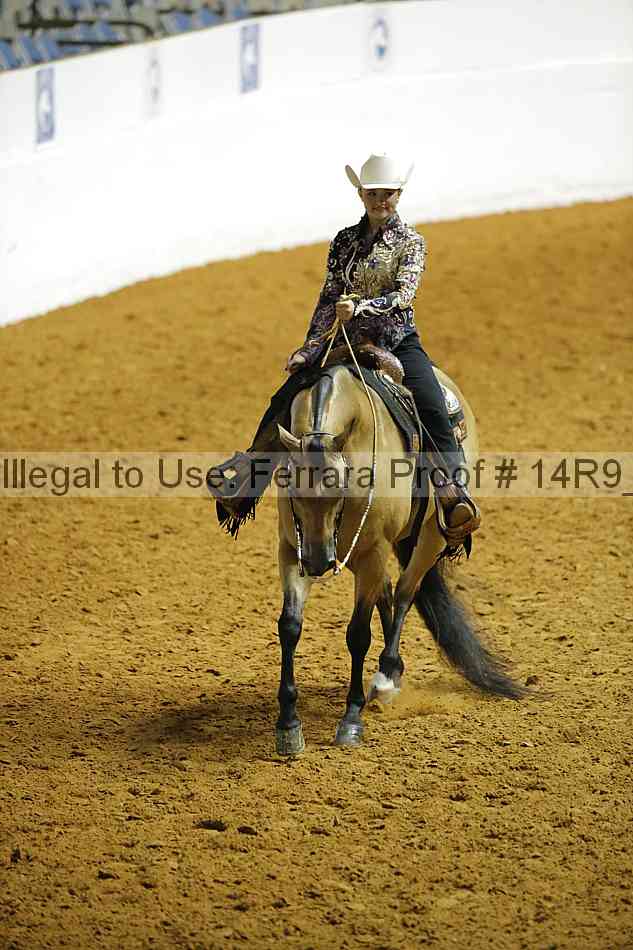Proof Number 14r9_3749
