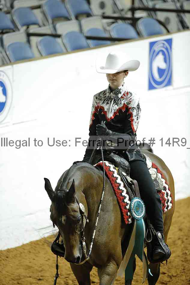 Proof Number 14r9_3774