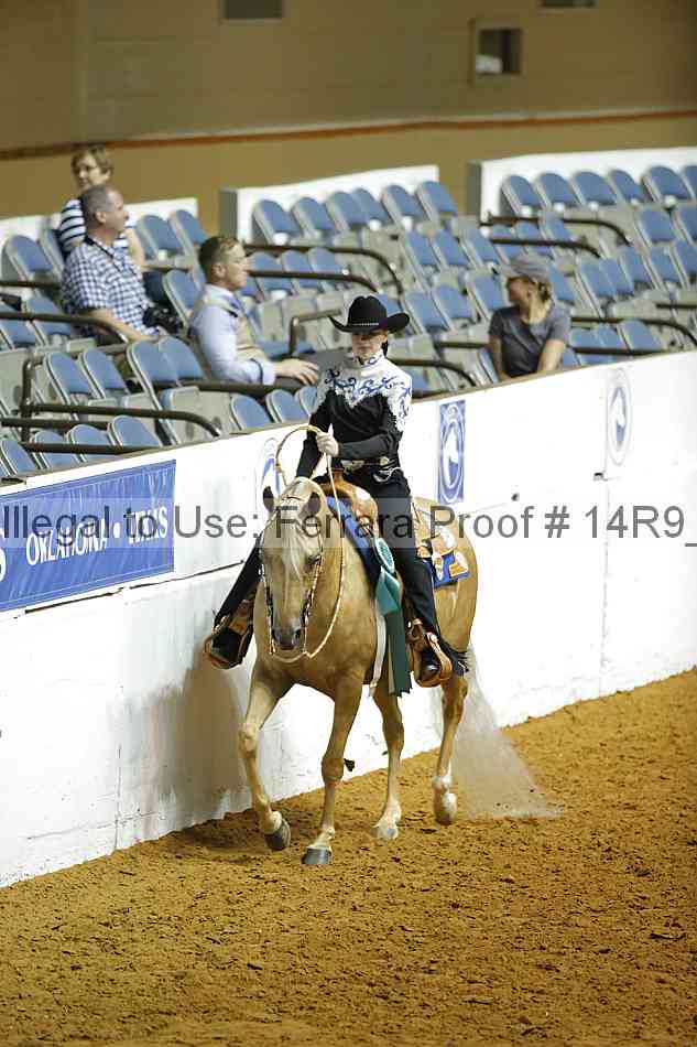 Proof Number 14r9_3777