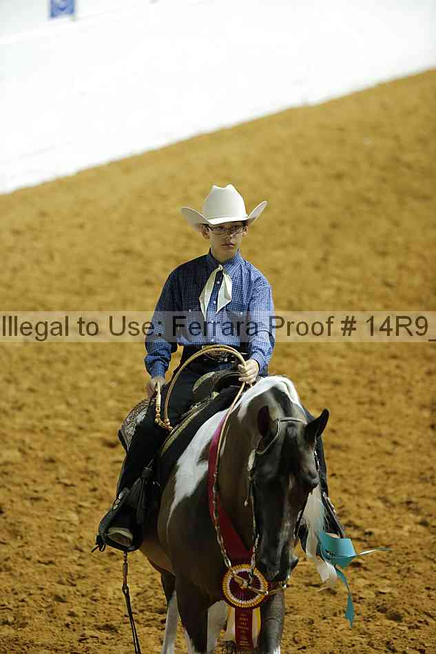 Proof Number 14r9_3789