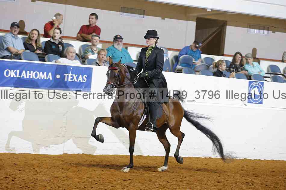 Proof Number 14r9_3796