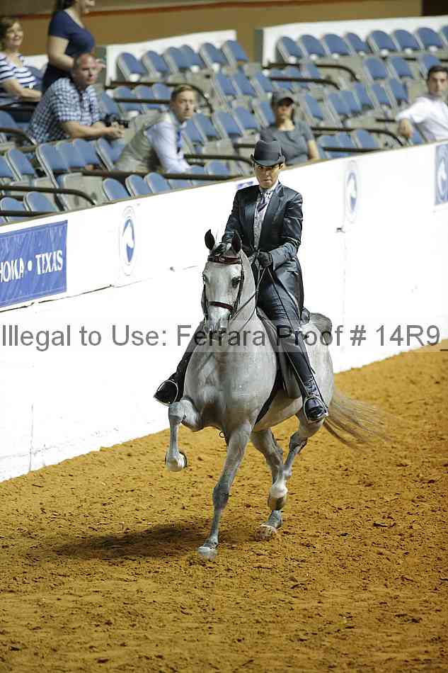 Proof Number 14r9_3803
