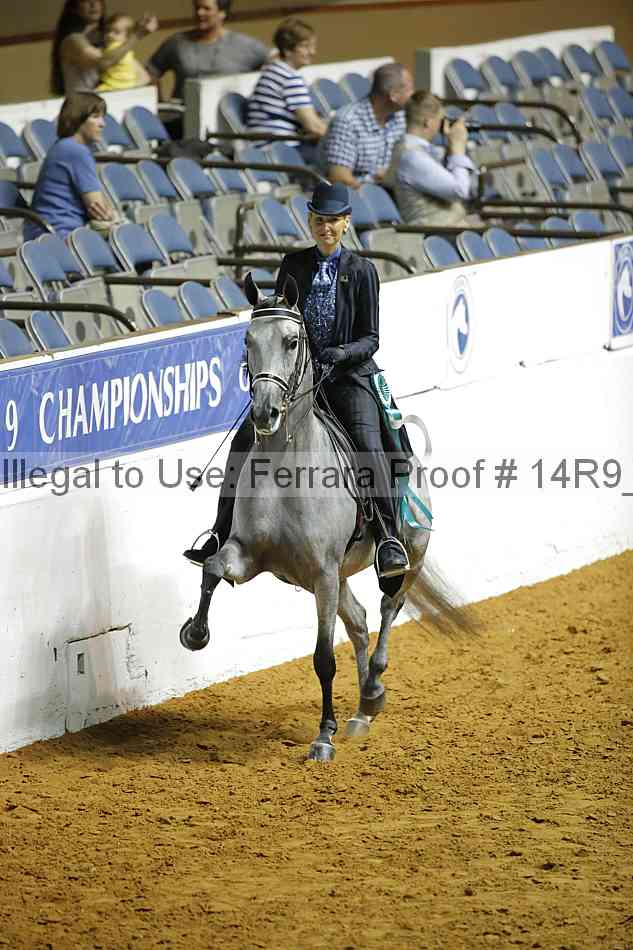 Proof Number 14r9_3840
