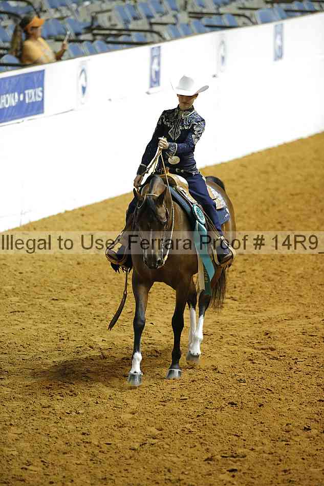 Proof Number 14r9_3893