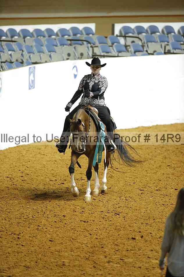 Proof Number 14r9_3895
