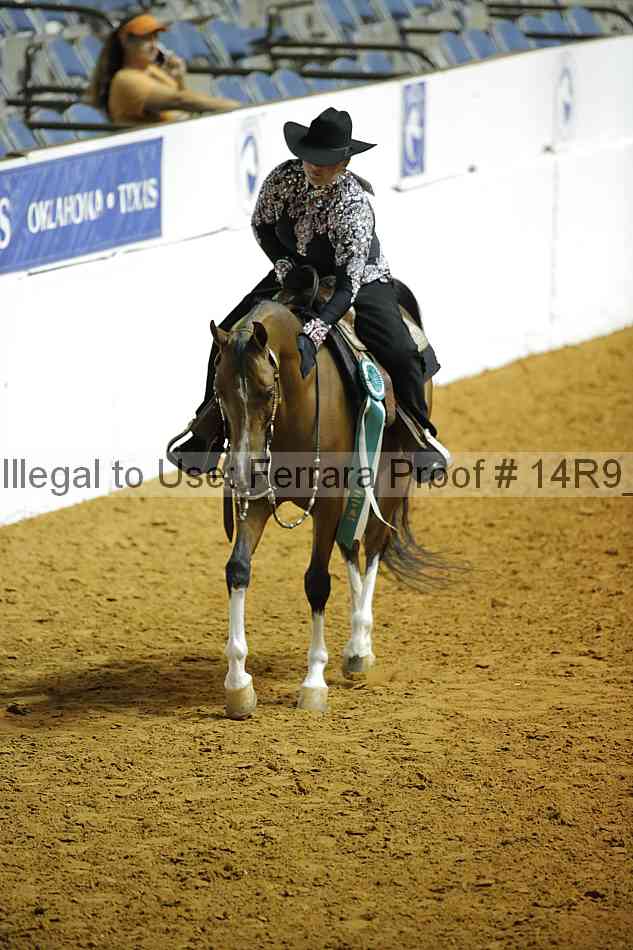 Proof Number 14r9_3899