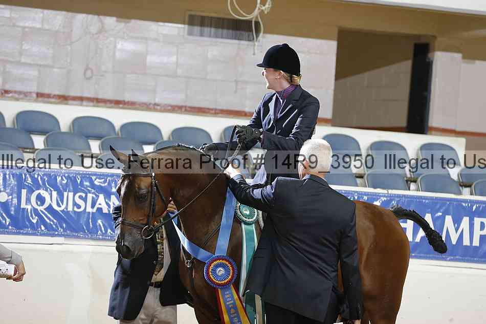 Proof Number 14r9_3950
