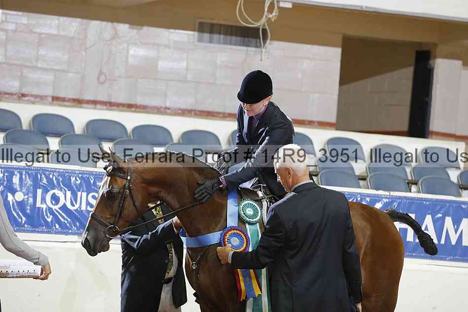 Proof Number 14r9_3951