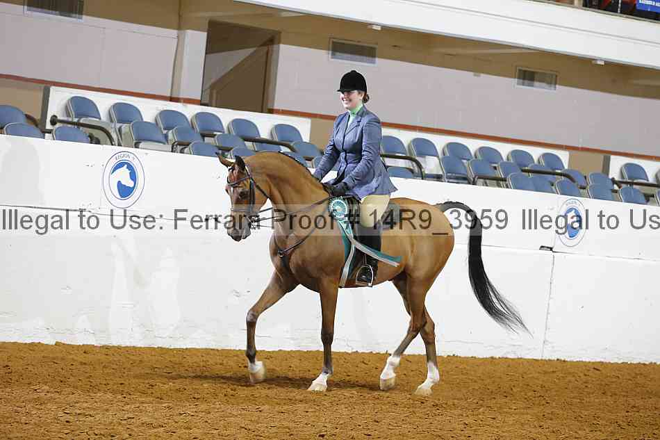 Proof Number 14r9_3959
