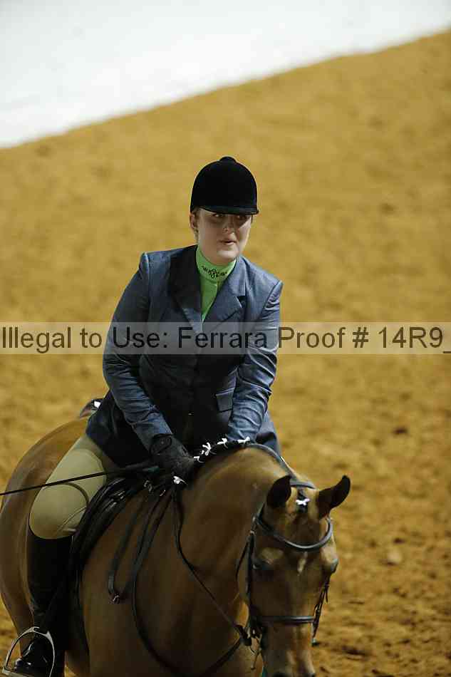 Proof Number 14r9_3966