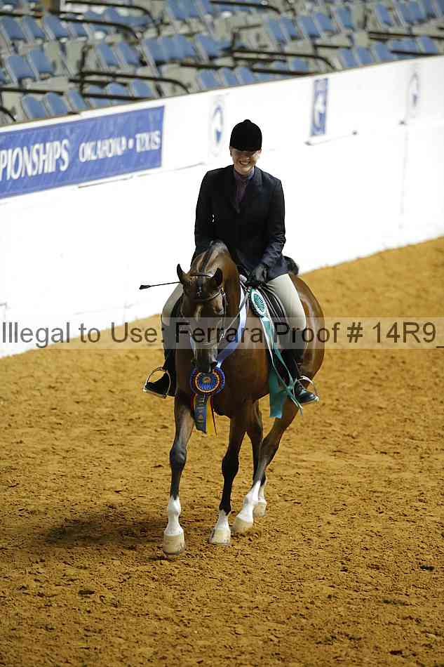 Proof Number 14r9_3974