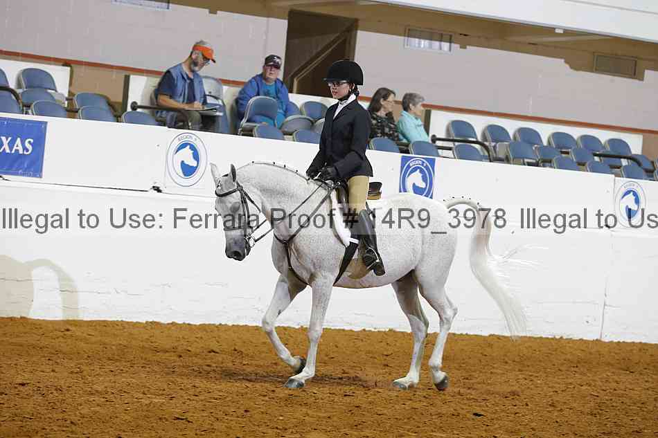 Proof Number 14r9_3978