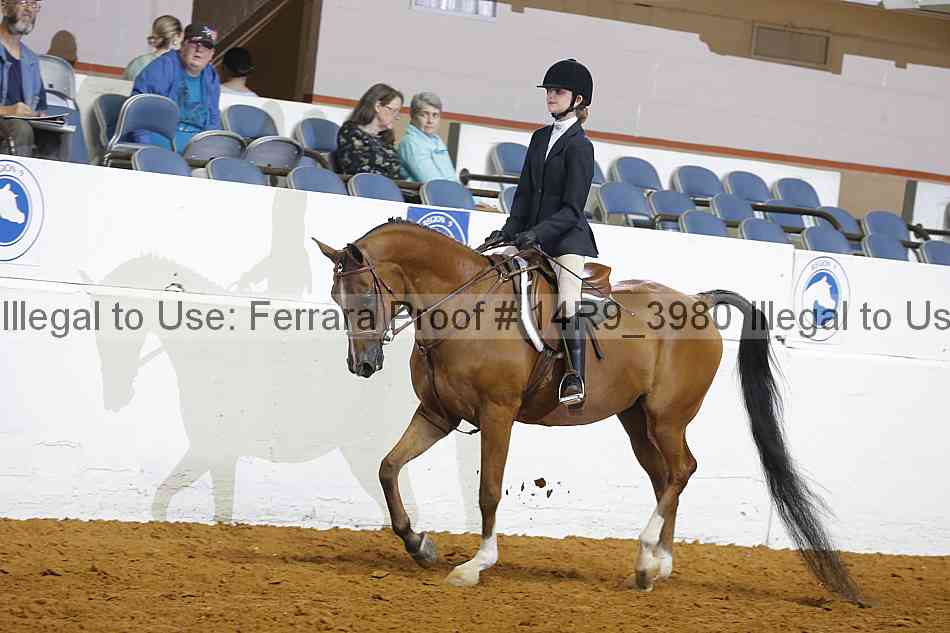 Proof Number 14r9_3980