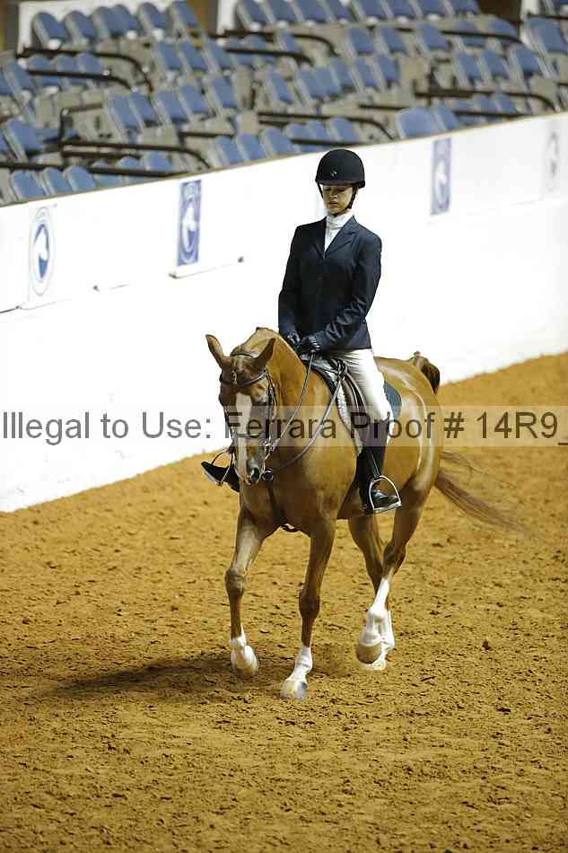 Proof Number 14r9_3985