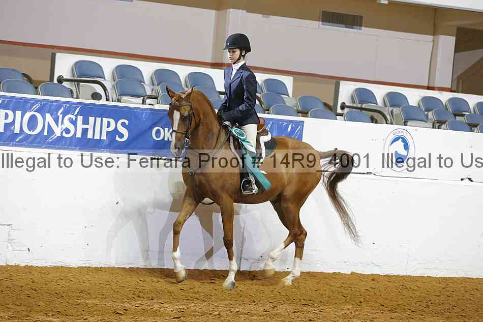Proof Number 14r9_4001