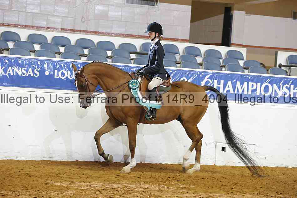 Proof Number 14r9_4004