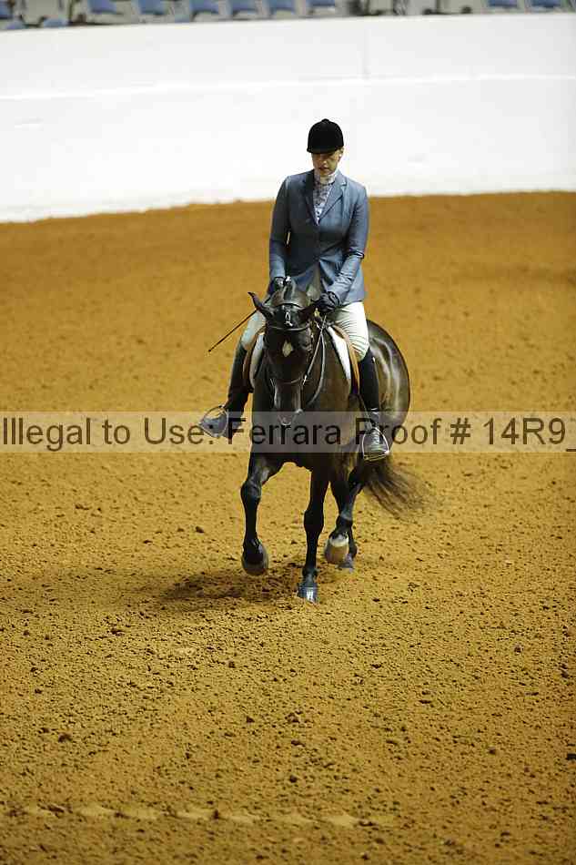 Proof Number 14r9_4040