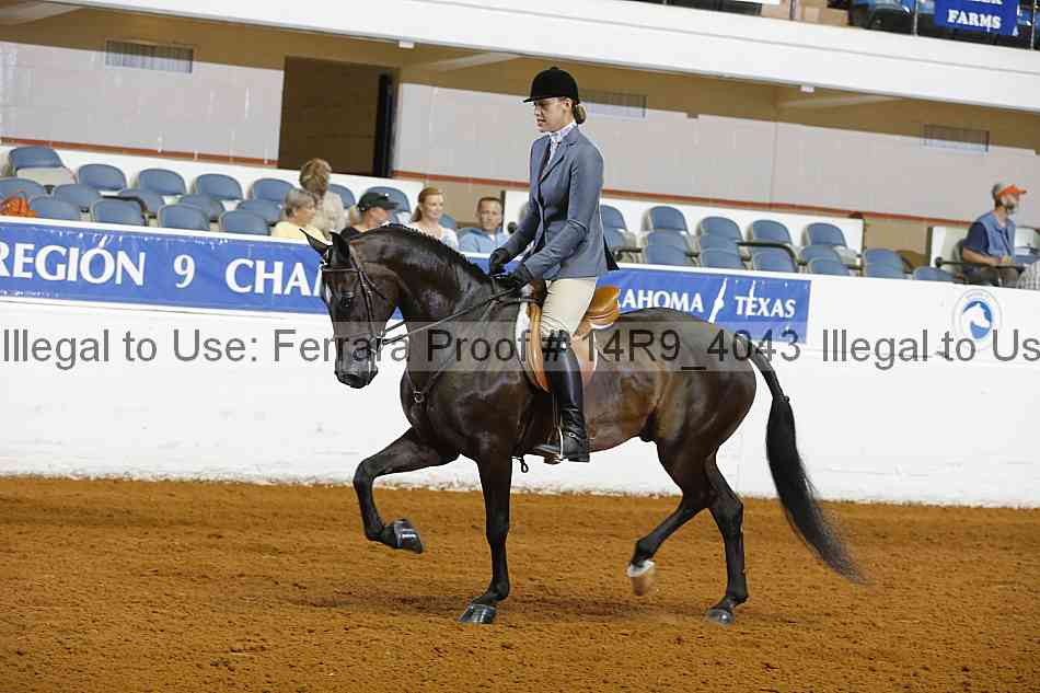 Proof Number 14r9_4043