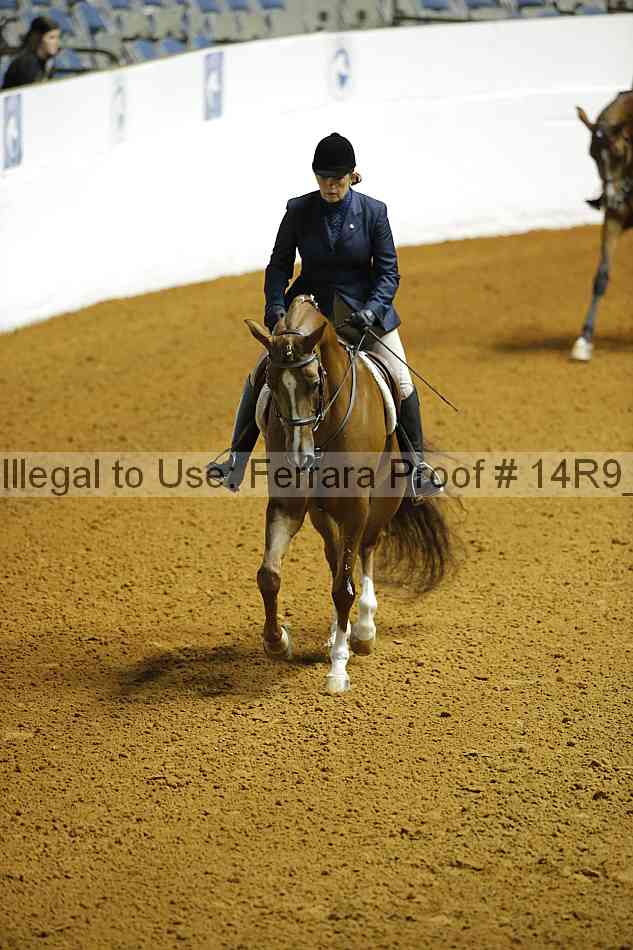 Proof Number 14r9_4047