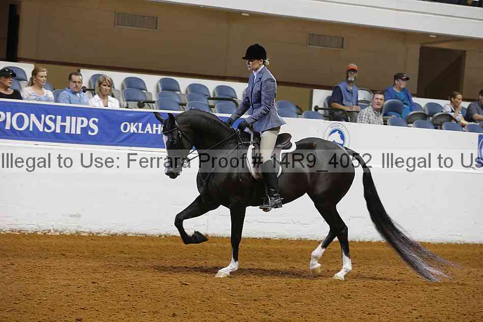 Proof Number 14r9_4052