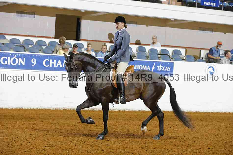 Proof Number 14r9_4053