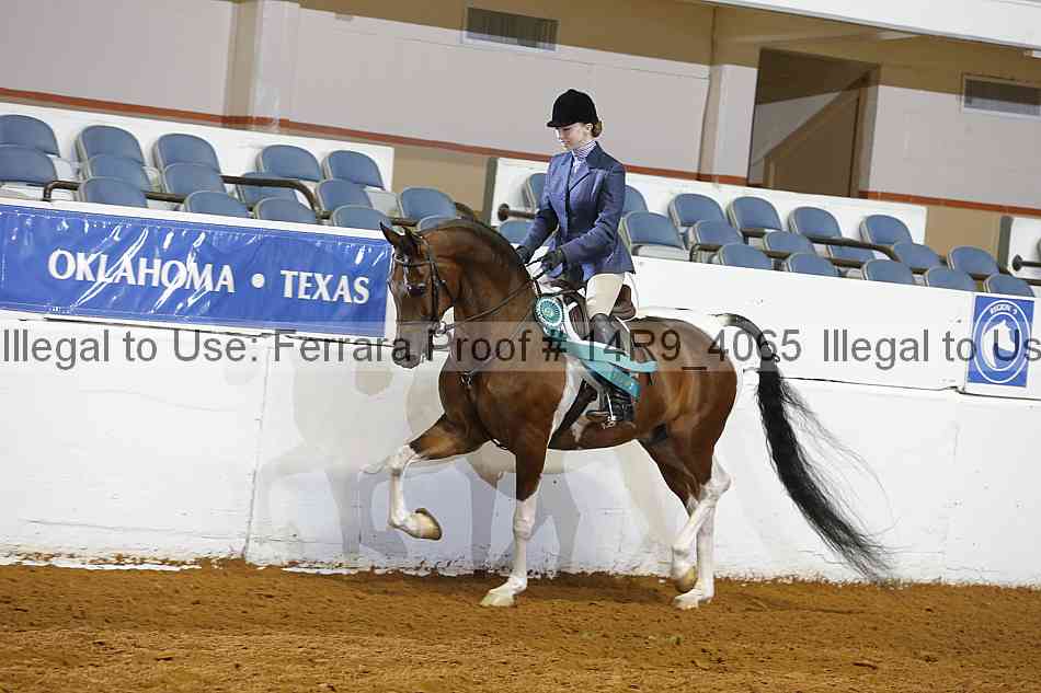 Proof Number 14r9_4065